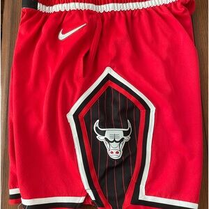 Nike nba swing man Chicago bulls shorts xl